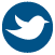 Kauffman Web Icons - Blue-Twitter